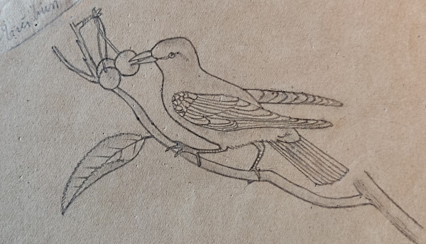 1921_Dessin