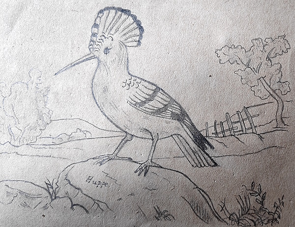 1921_Dessin