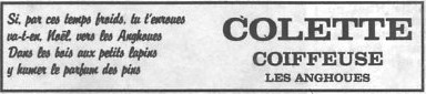 CO_voeux_EJ
