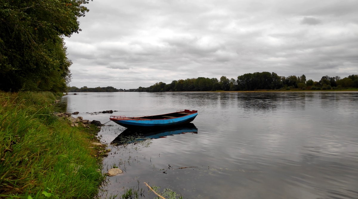Loire à Sainte Gemmes 30 septembre 2019