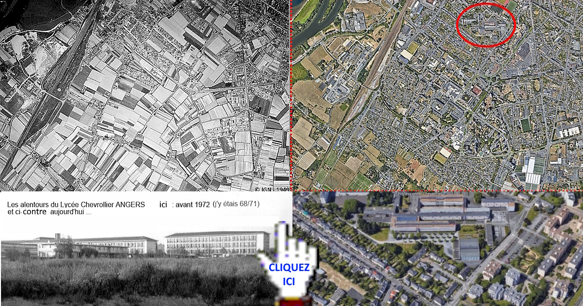 Angers_SUD_Chevrollier_Roseraie