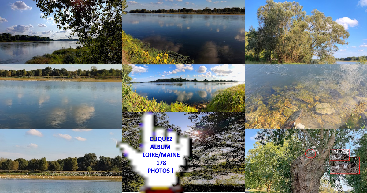 Feerie_du_bord_de_Loire Feerie_du_bord_de_Loire
