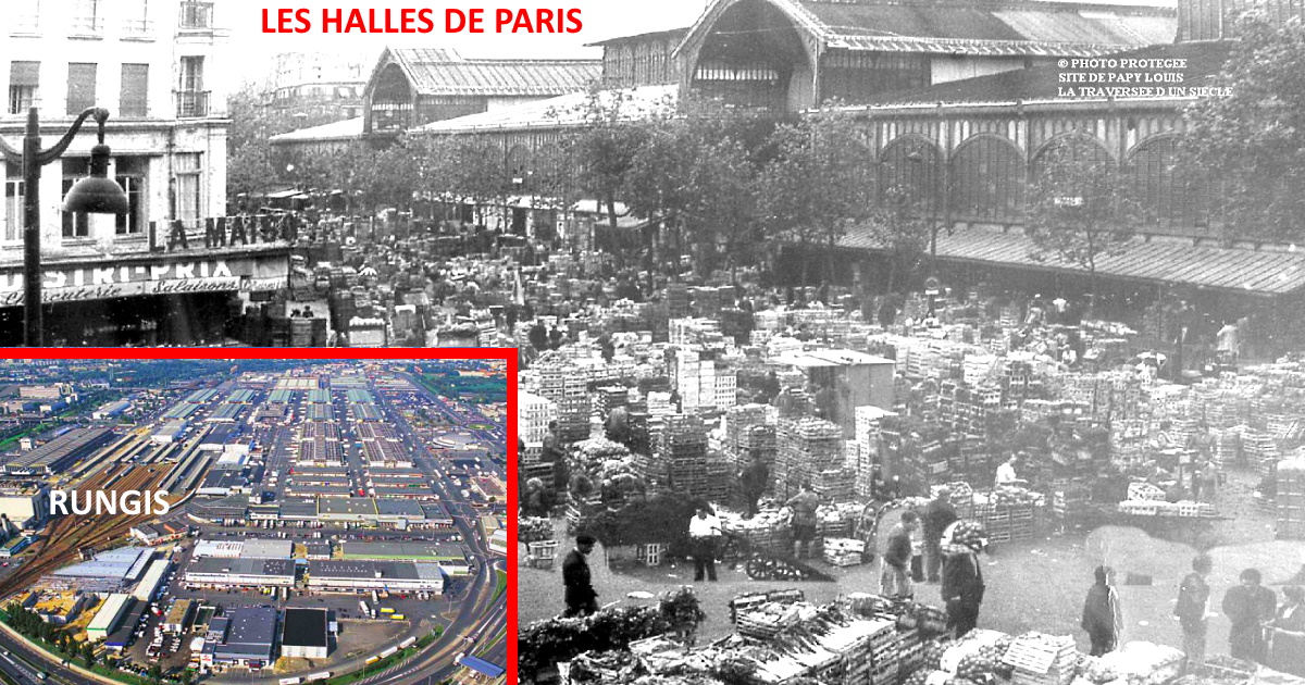 Les HALLES de PARIS - Saga : de LUTECE à RUNGIS