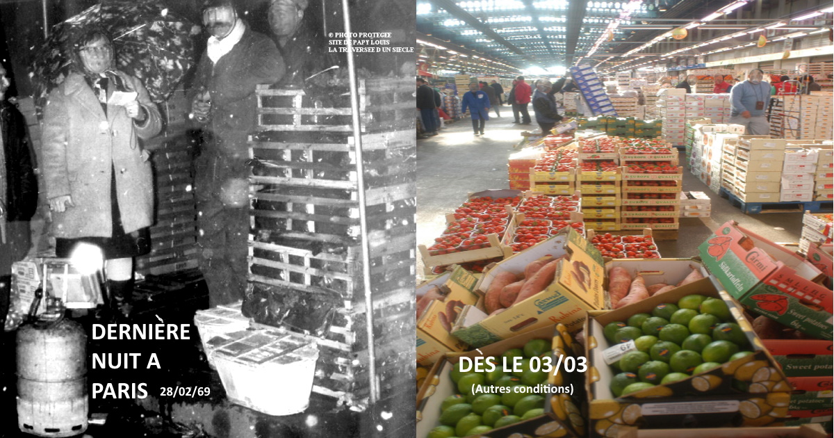 Les HALLES de PARIS - Saga : de LUTECE à RUNGIS