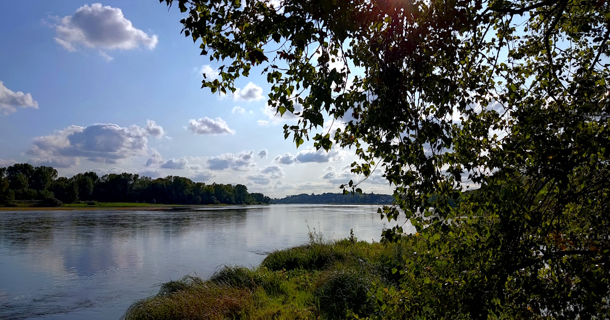 Loire_vers_Ocean