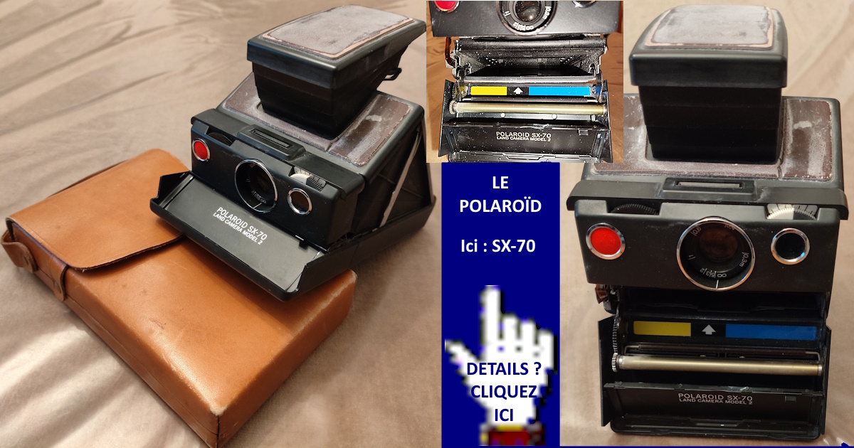 La photographie - La Polaroïd
