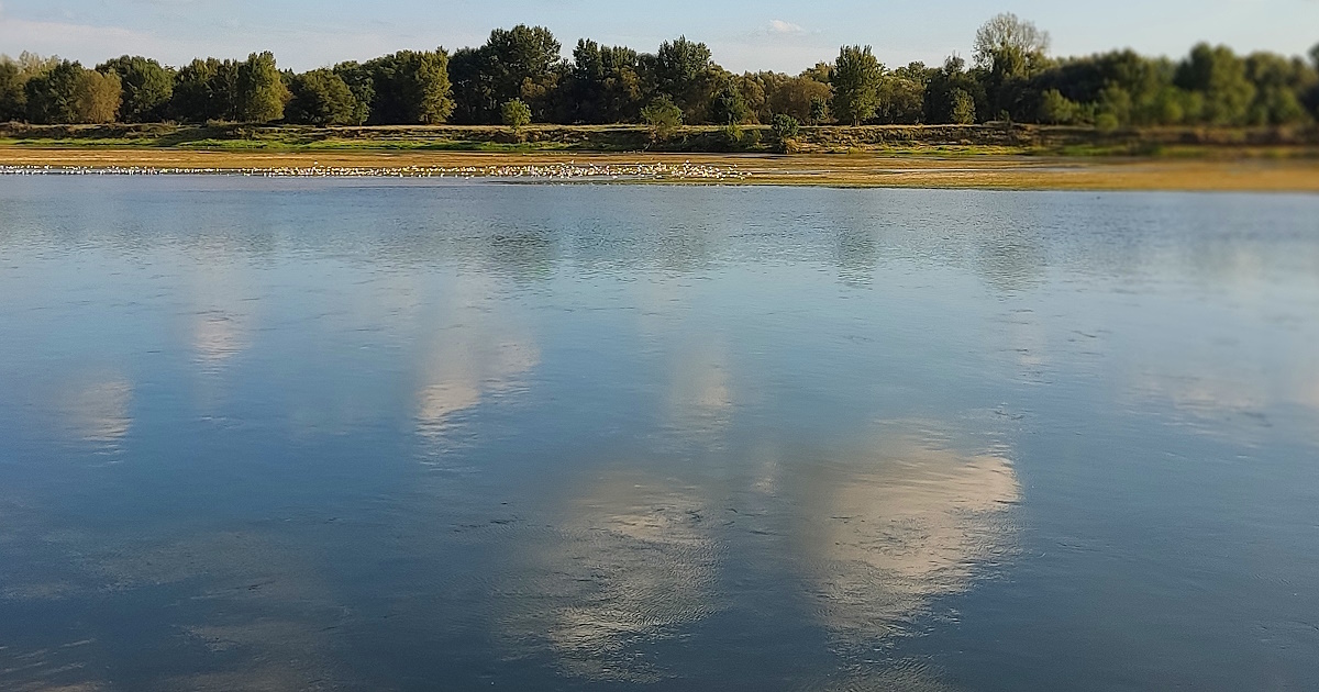 Rive_opposee_sternes