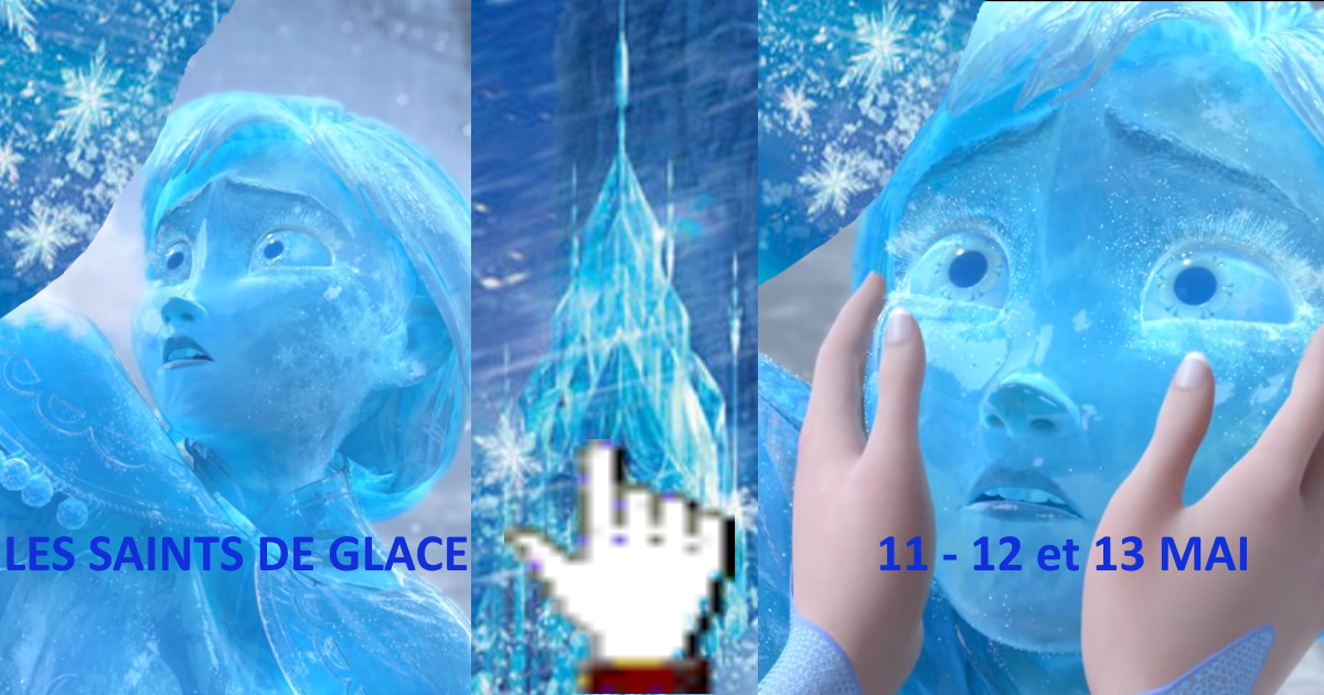 Saints de Glace