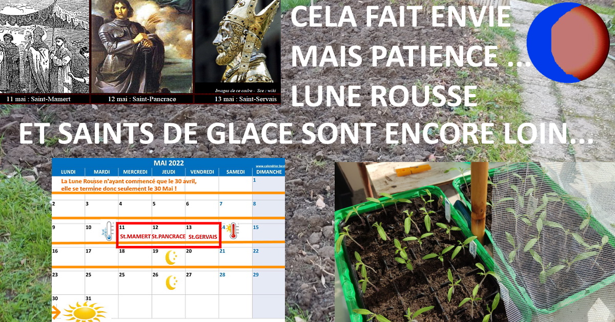 Saints_de_Glace