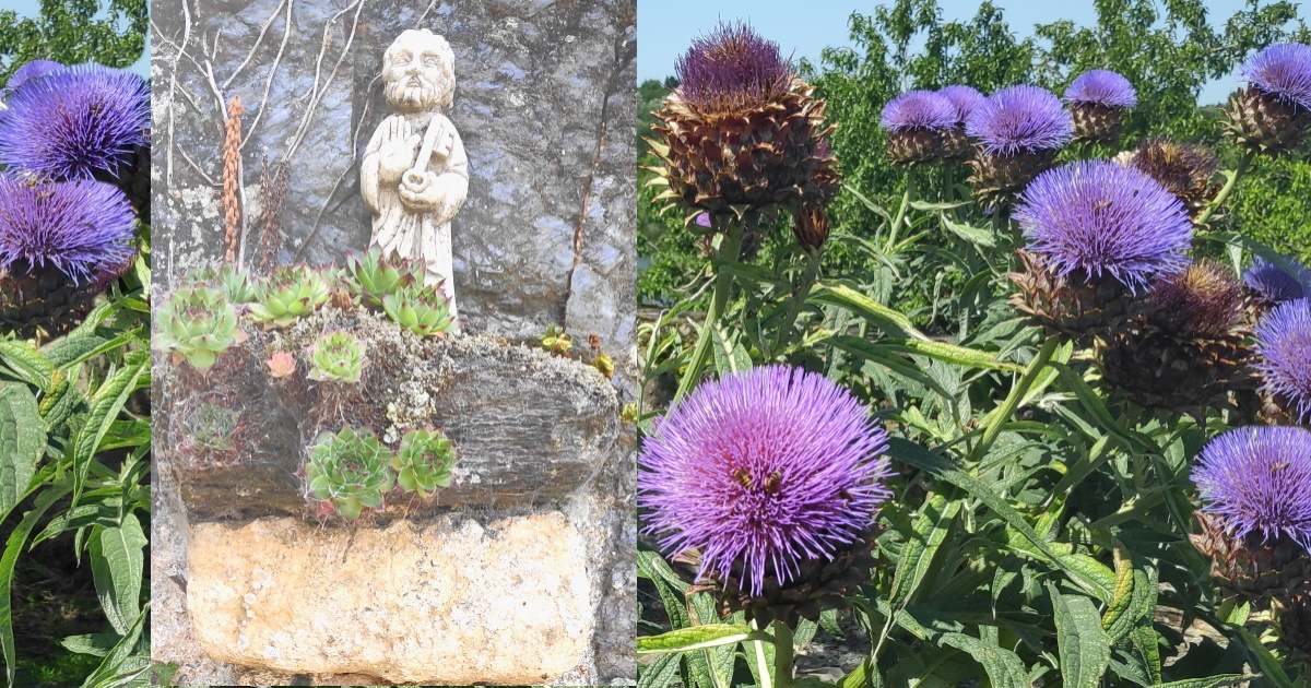 Enigme_St_Pierre