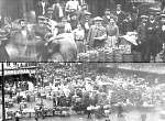 Les halles de Paris de Lutèce à Rungis