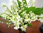 Muguet porte bonheur