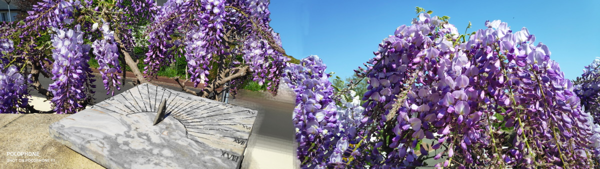 Glycine