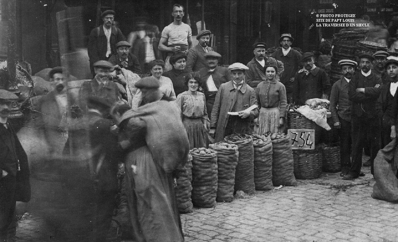 LES POMMES DE TERRE
