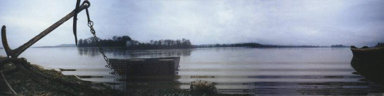 La Loire à la Ménitré