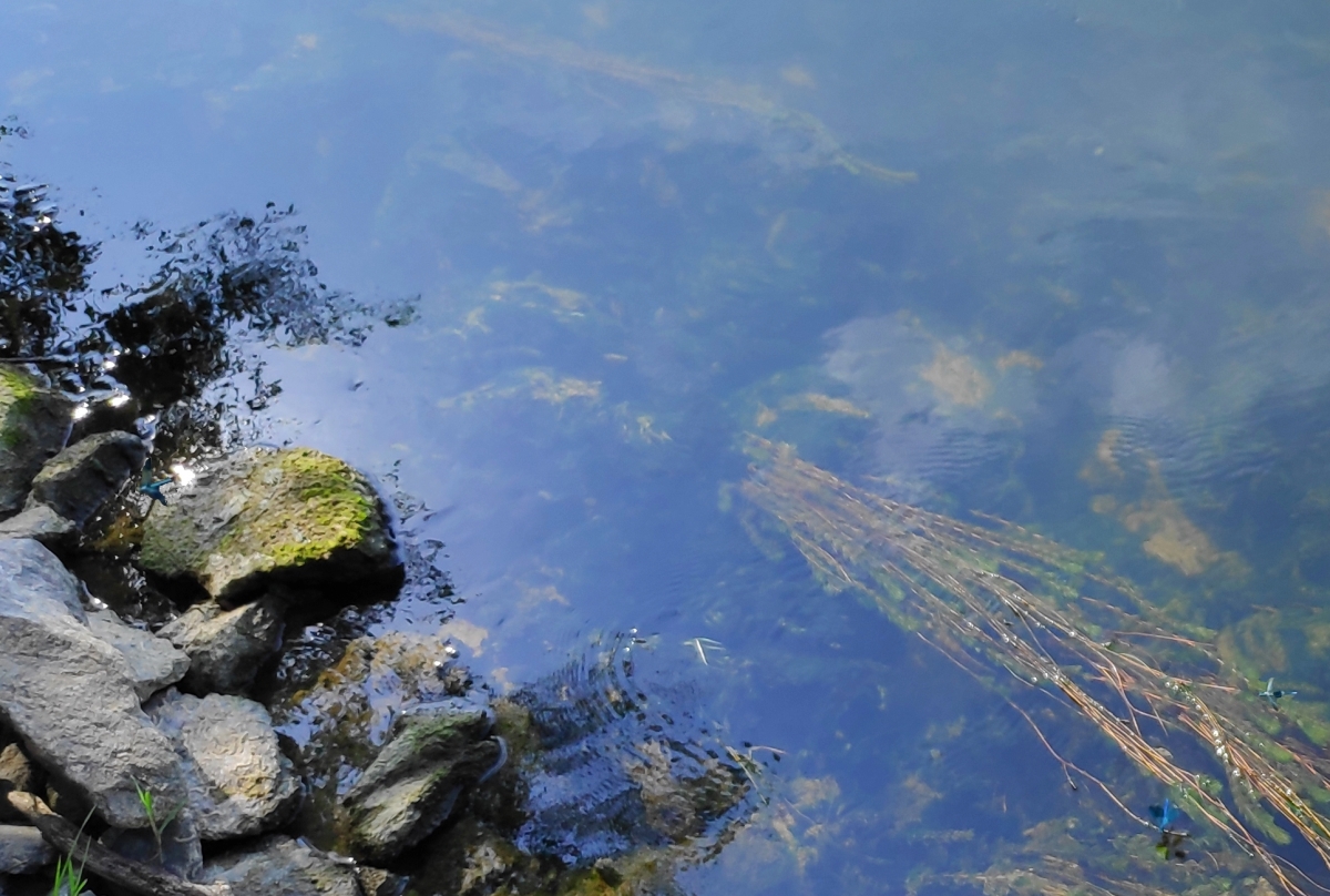 ponts_de_Ce ponts_de_Ce