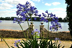 Loire