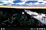 belvedere_video.