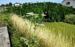 ponts_de_Ce