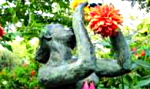 L_Arboretum_d_Angers