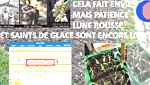 Les Saints de glace