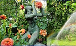 L'arboretum d'ANGERS