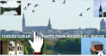 Baumette_2020