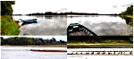 greves_et_cormorans_sur_loire