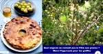 pate_aux_prunes