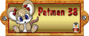 PATMAN 38