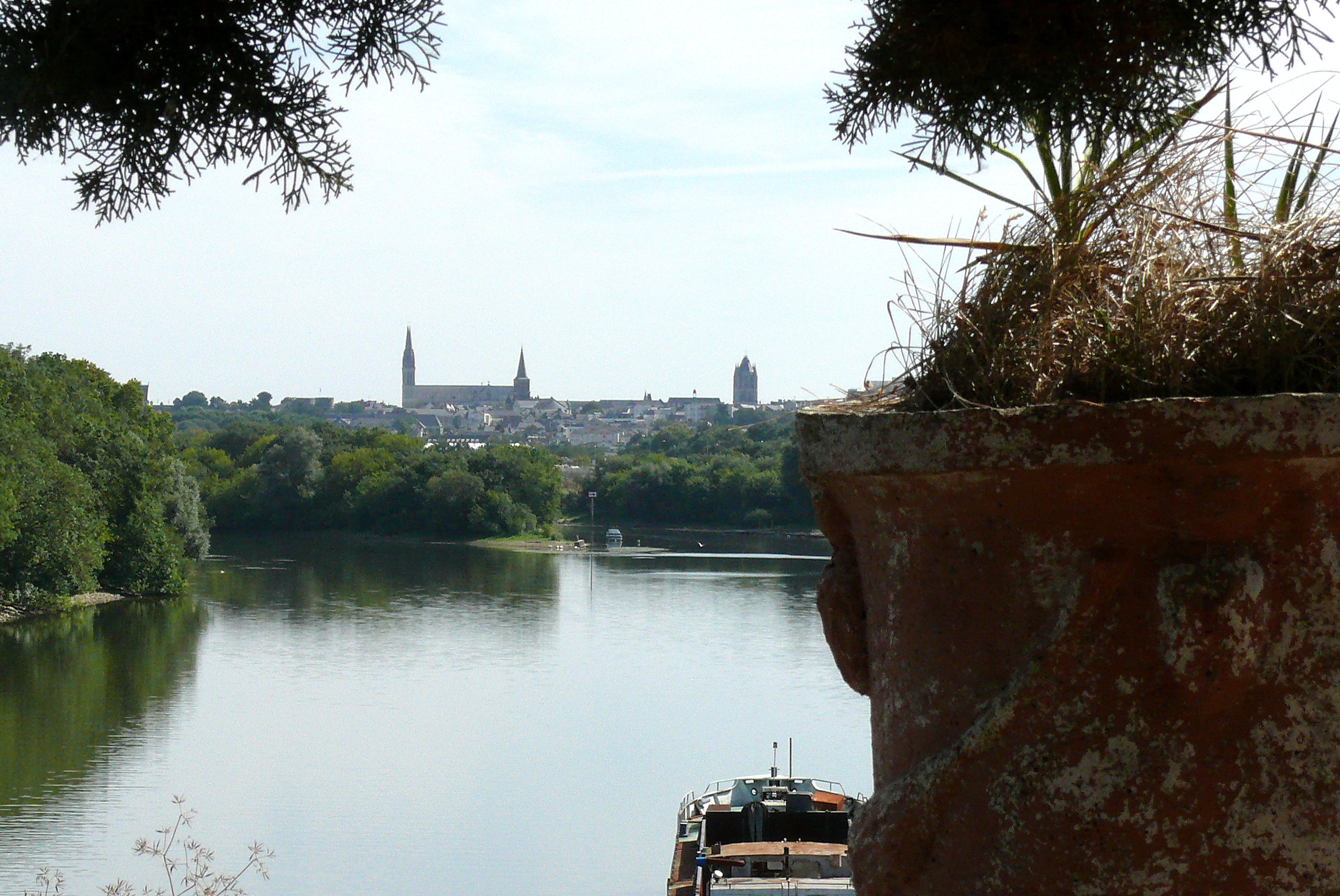 Baumette_Maine_Angers