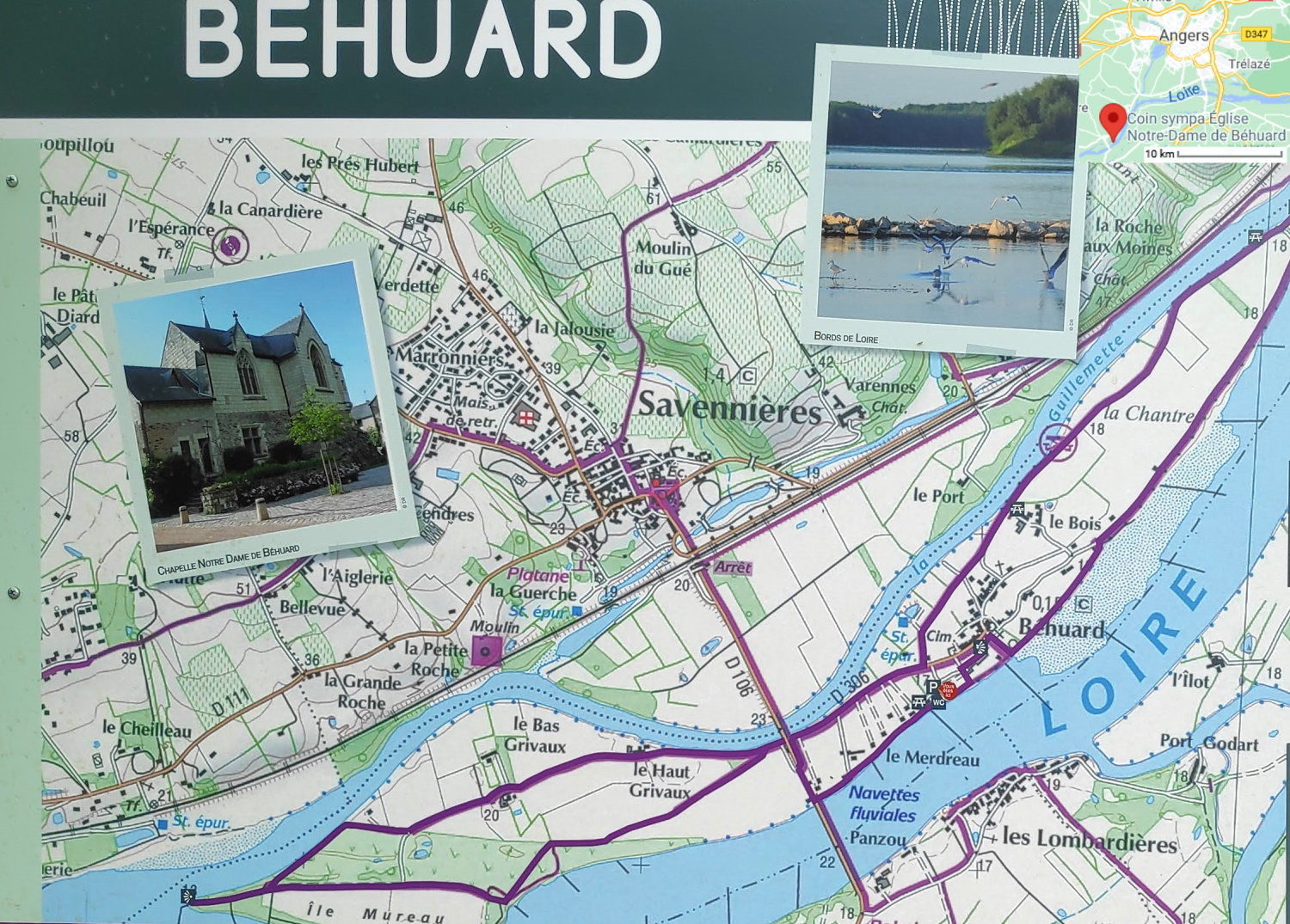 Behuard