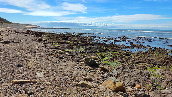 2022_Vendee