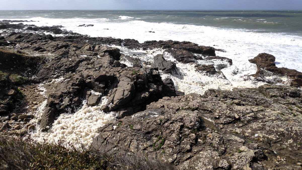 Vendee_ecume_en_formation