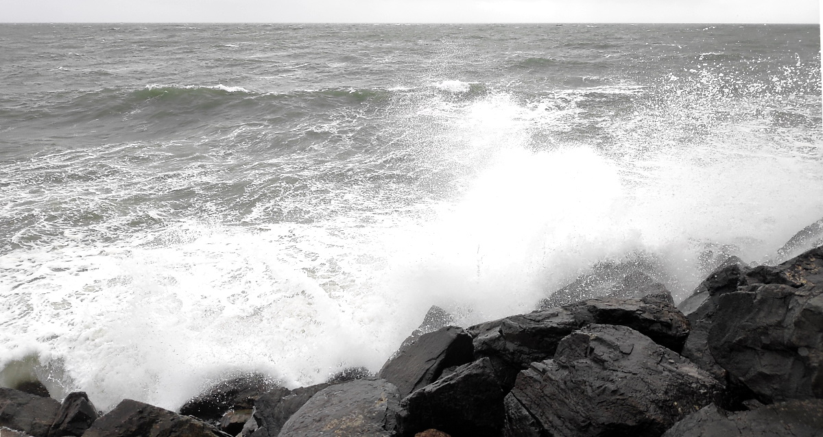 Vendee_le_vent_se_leve