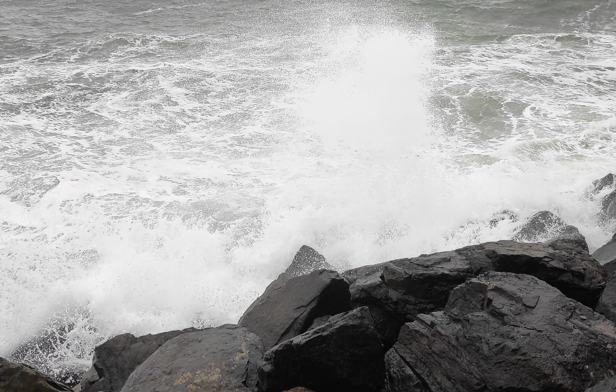 Vendee_le_vent_se_leve