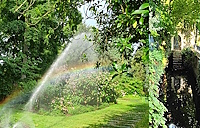 ANGERS_Arboretum