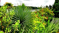 STE_GEMMES_Jardin_mediterraneen