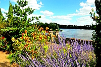 STE_GEMMES_Jardin_mediterraneen