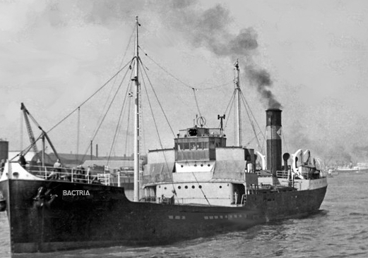Bactria