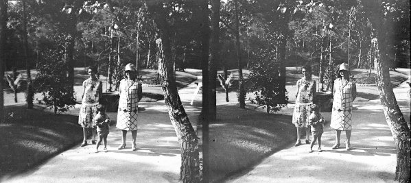 PROMENADE EN SOUS BOIS