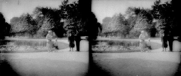 PROMENADE EN SOUS BOIS