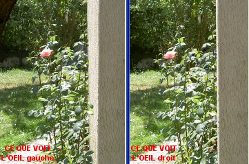CE QUE VOIENT LES DEUX YEUX (pratique)
